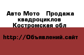 Авто Мото - Продажа квадроциклов. Костромская обл.